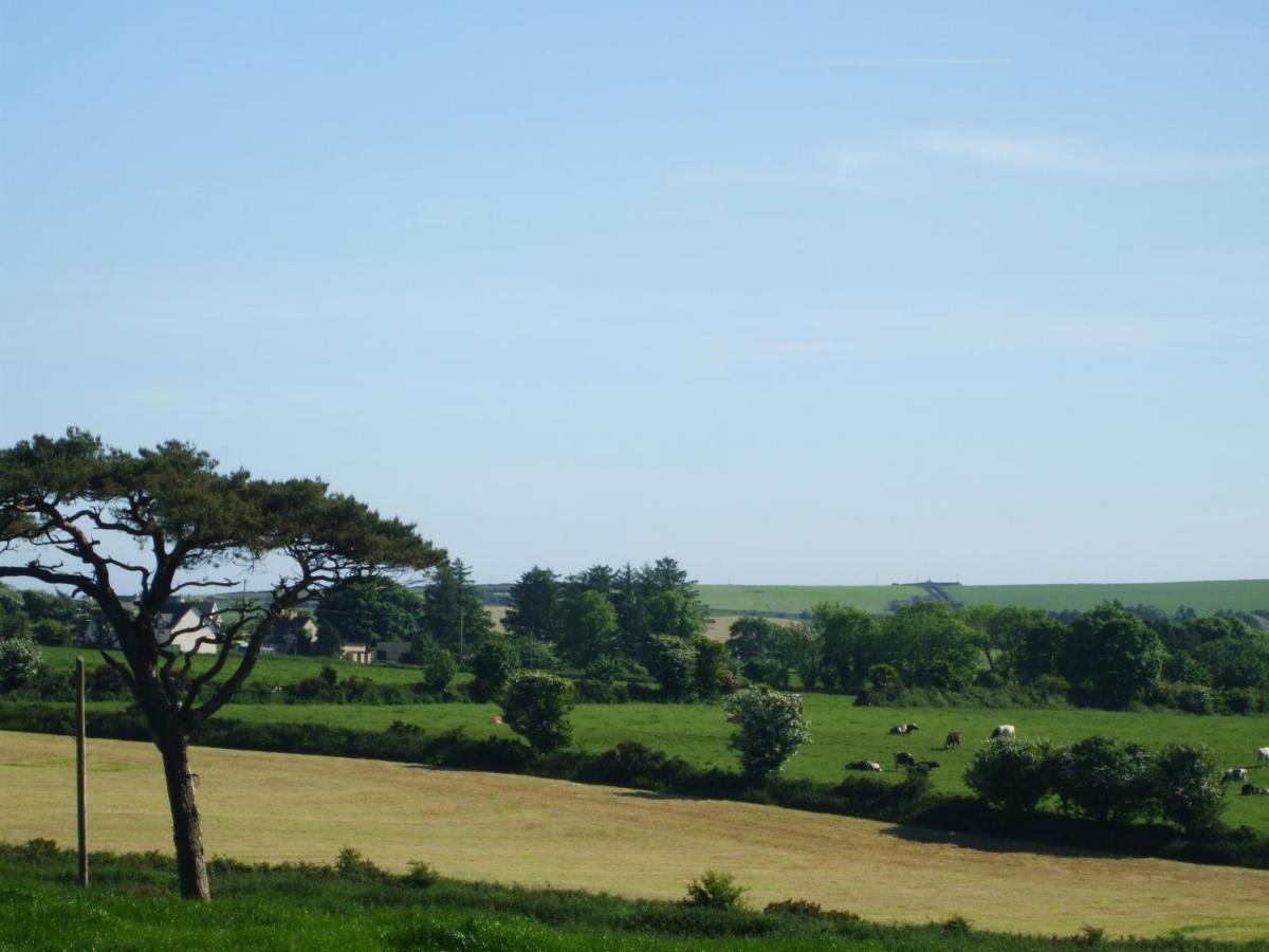 The Brown Hen Guest Accommodation Bandon Exteriör bild